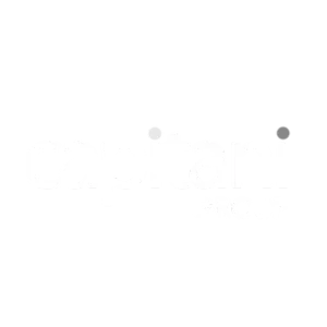 Capitani Group